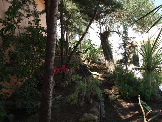 villa-arboleda