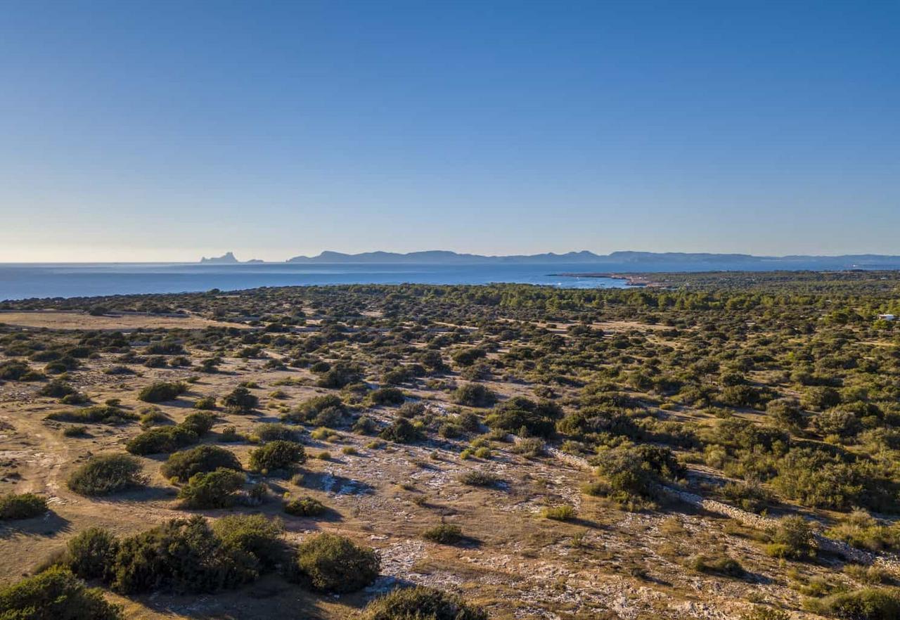 Villa Moon Formentera - Villas in Ibiza