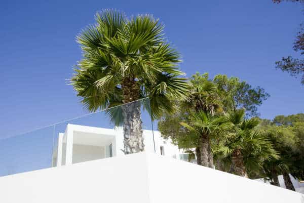Villa Saclaro - Ibiza Property