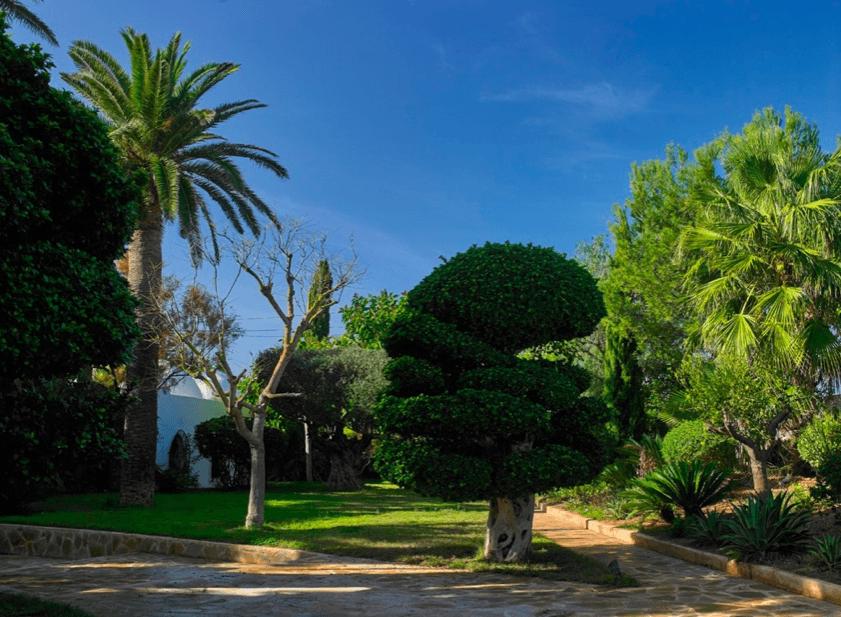 Villa Salomon - Ibiza Property