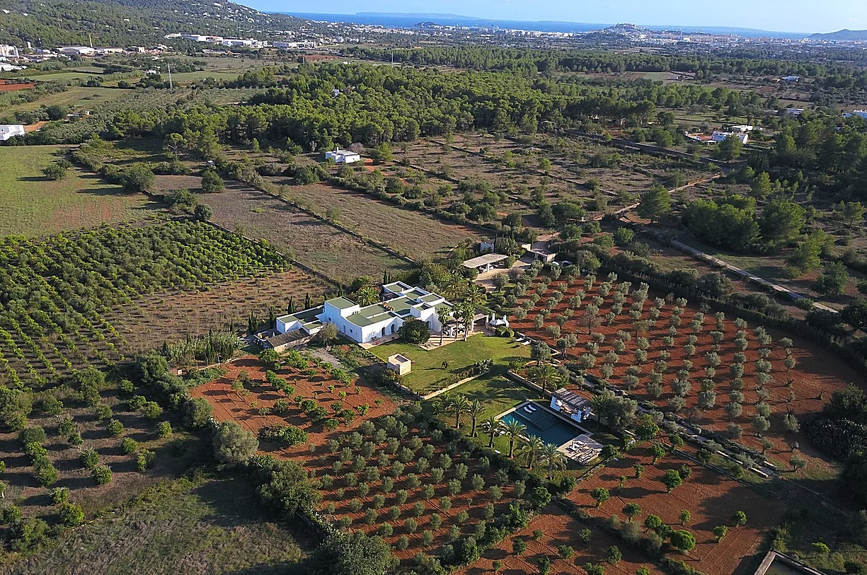 ibiza villa rental