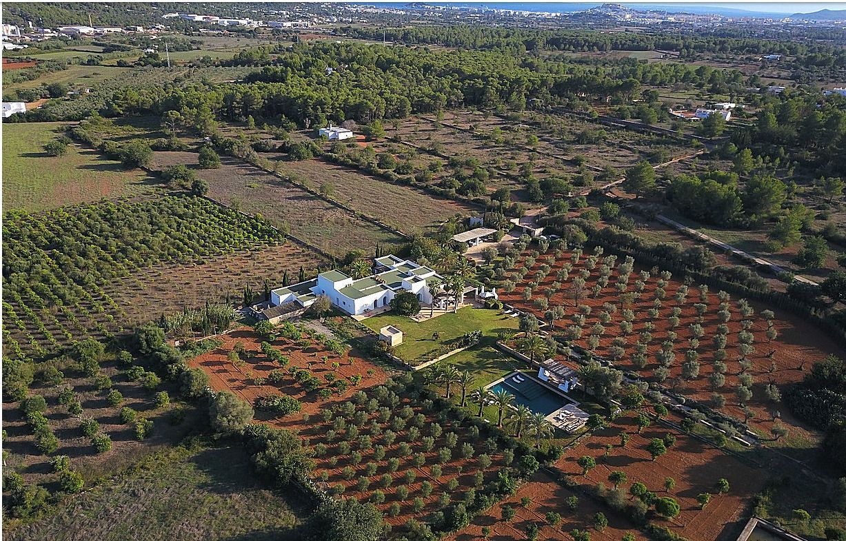 ibiza villa rental