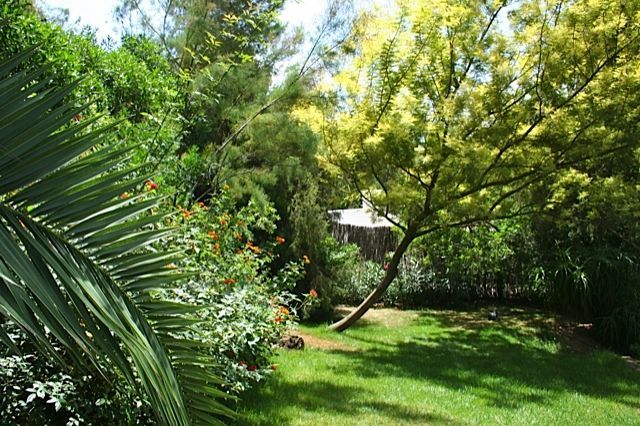 villas in Ibiza
