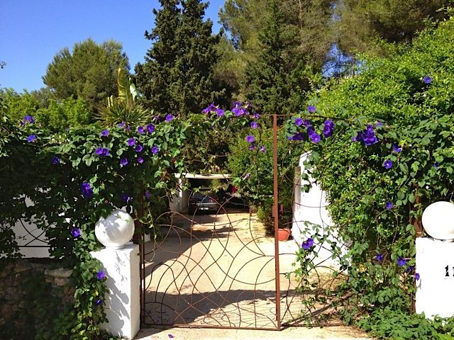 villas in Ibiza