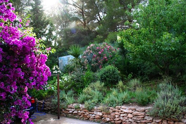 villas in Ibiza